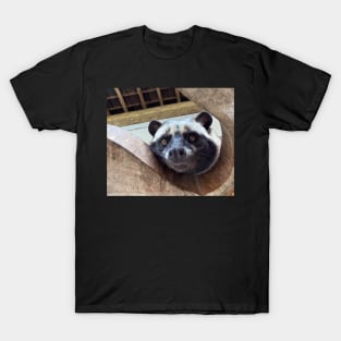 Raccoon T-Shirt